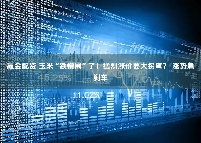 赢金配资 玉米“跌懵圈”了！猛烈涨价要大拐弯？ 涨势急刹车