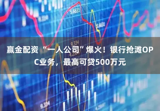 赢金配资 “一人公司”爆火！银行抢滩OPC业务，最高可贷500万元